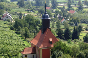 Ausblick - Weinbergkirche Pillnitz